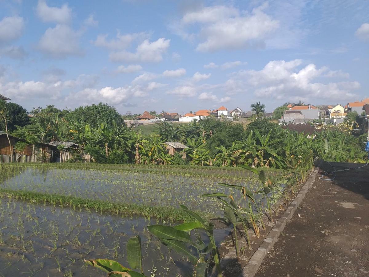 Pd Bali Guesthouse Canggu Exterior foto